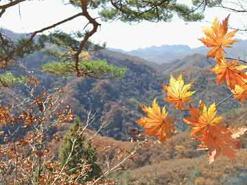 打胎药从哪里购买安全吗打胎药米非吃了有点恶心（药流吃完米非想吐）